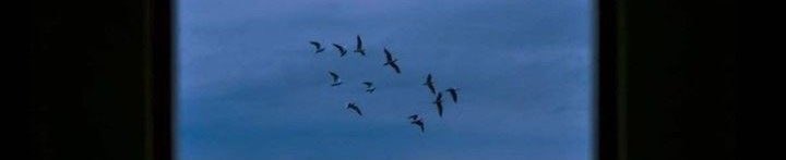 Belki bir gün arzulanır geçmiş