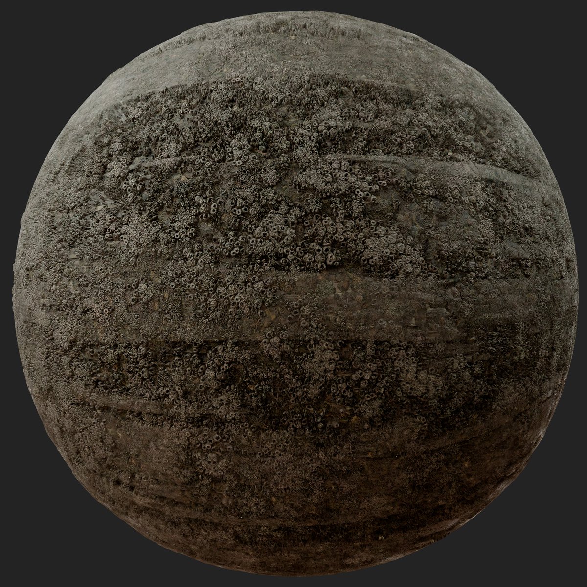 RousKristall's tweet photo. 3 levels of wood aging
Made in substance designer, rendered in Blender3D
#3dart #substancepainter #b3d https://t.co/CfKIsLkCwh