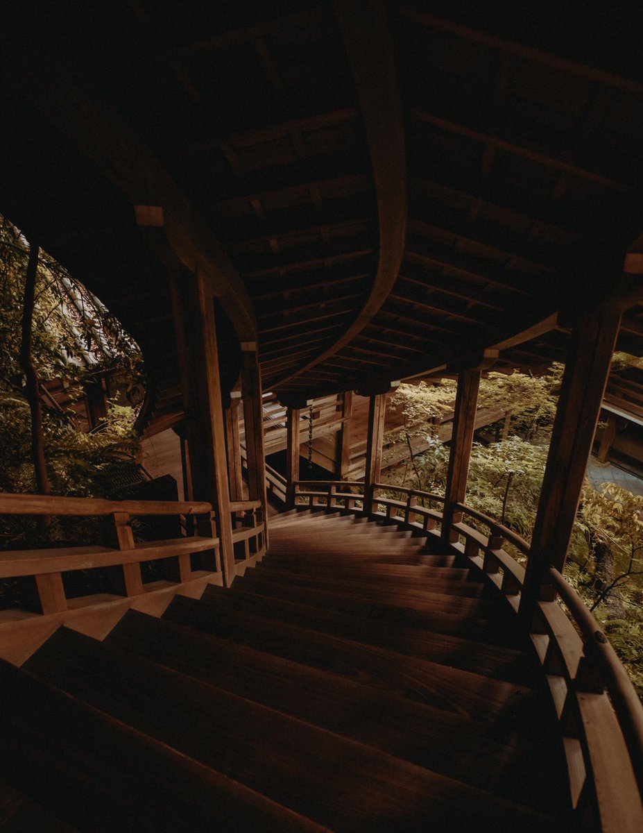 Riki Shinagawa tweet media