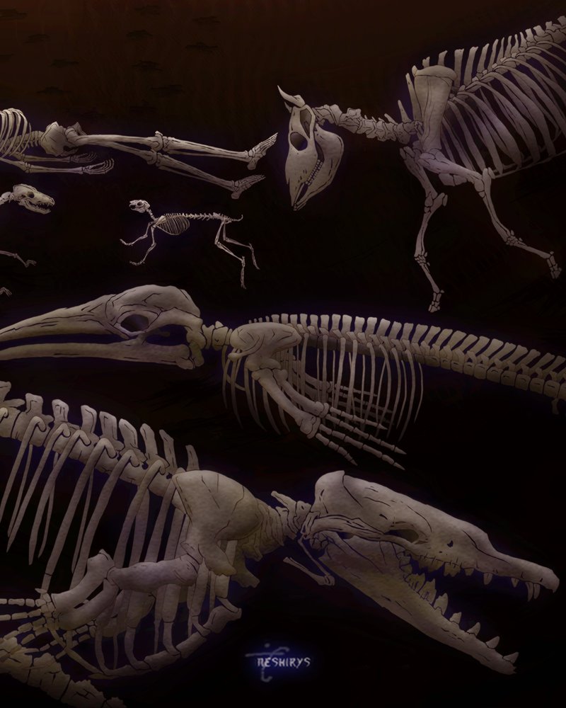 Neshi 🌟 tweet media