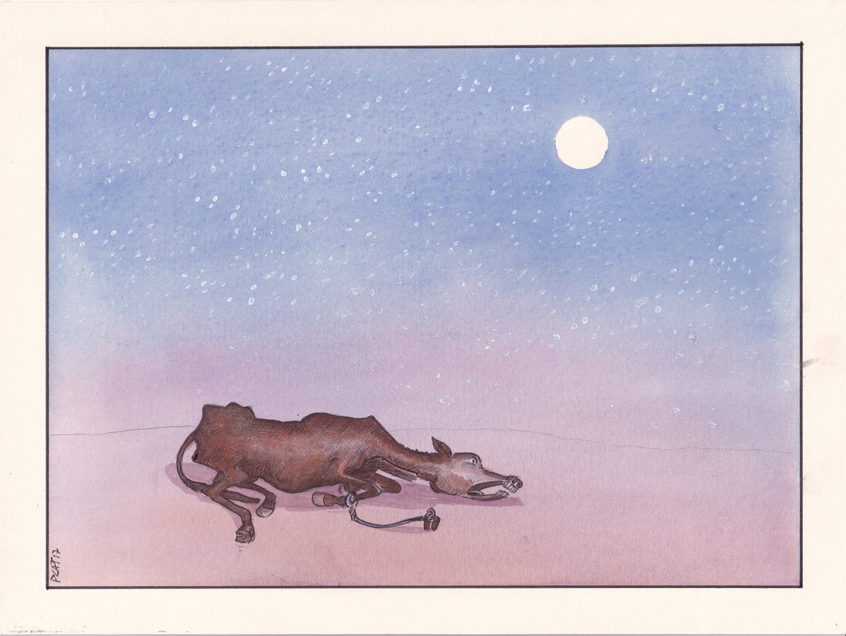 Paco Catalán. tweet media