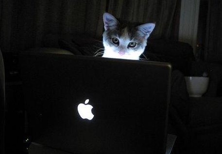 Kalleloni23's tweet image. 足は明るいです 🤠