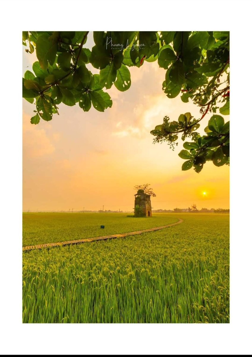 Nga_ThiNo's tweet photo. Good morning 
Sunrise from #LòGạchCũ https://t.co/SO6jB81Cdb