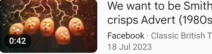 Single Lady Cyclist tweet media