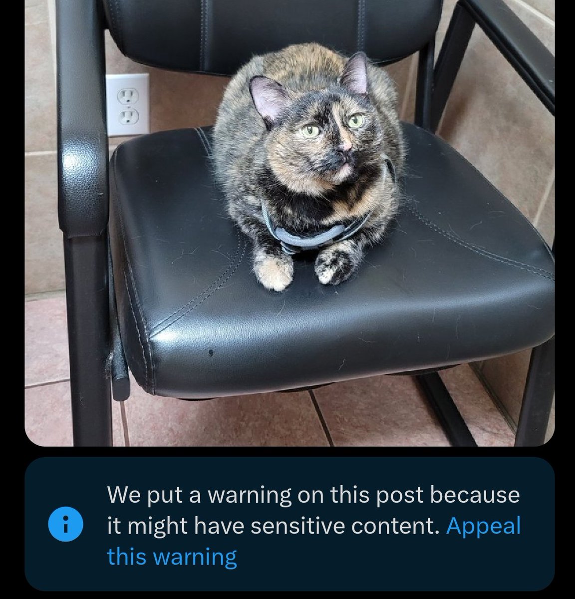 DrunklockHolmes tweet media