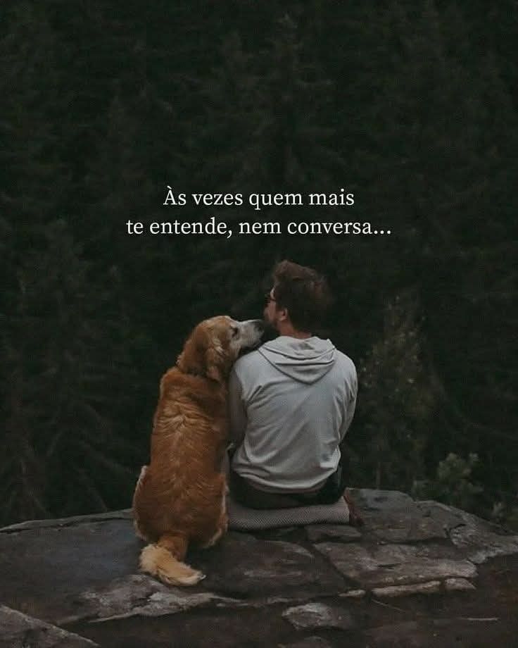 soudesabafosofc's tweet photo. https://t.co/3LzgF301SJ