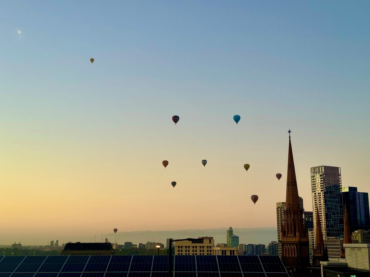 Louise Burke tweet media