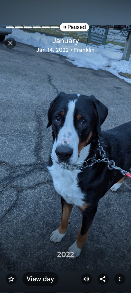 Mikel DeFrancesco tweet media