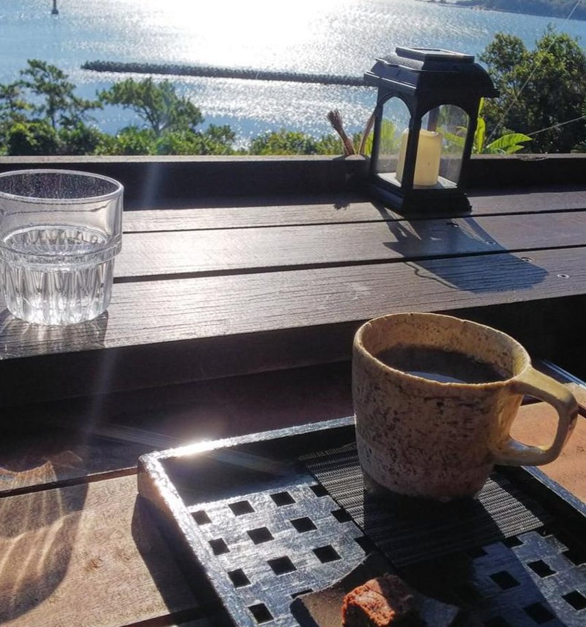 MMGPortland's tweet image. なぜの猫のかな？ 🌥️