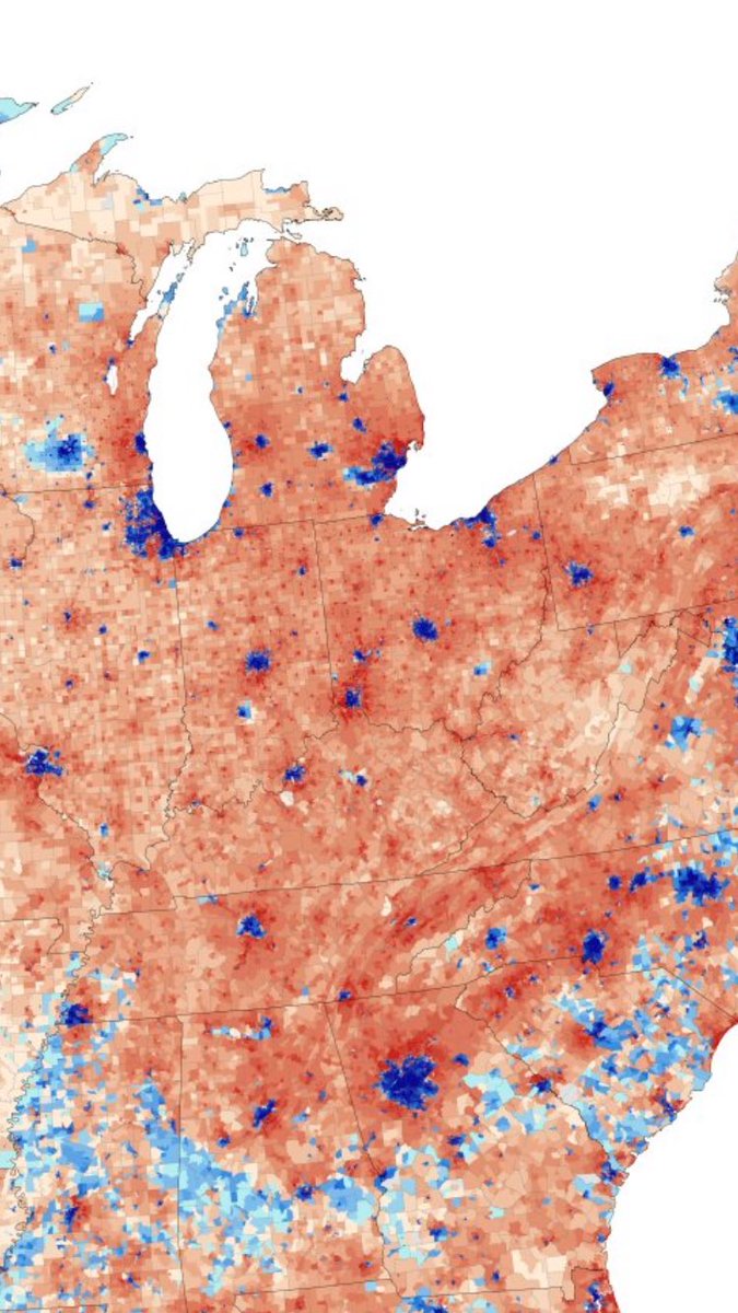 Shaz 🇵🇸🇺🇦 tweet media
