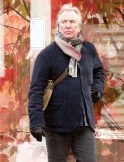 alan.rickman_rima.horton (@alan_and_rima) on Twitter photo 