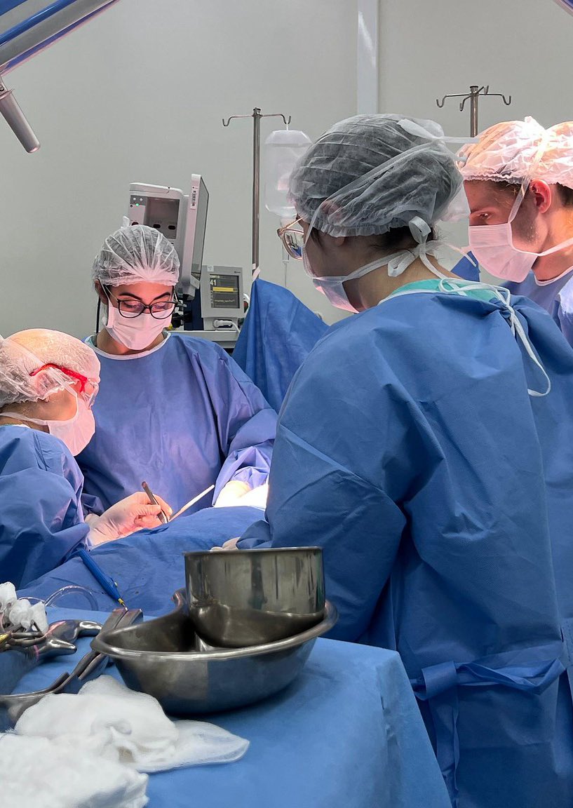 AGORA: RECORDE HISTÓRICO NO SUS! Foram 14,7 milhões de cirurgias eletivas em 2025. 

É o Agora Tem Especialistas levando o SUS ainda mais longe, com 3º turno nos hospitais públicos, mutirões, carretas, a inédita participação dos hospitais privados e a parceria com estados e