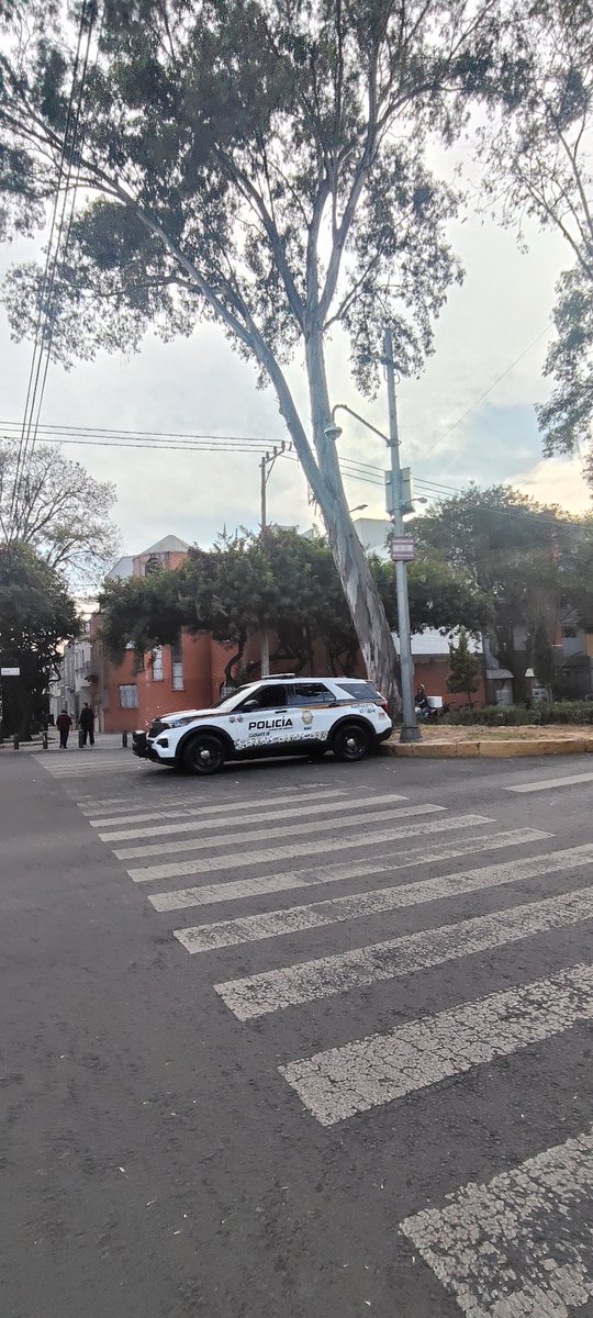 Michelle_Merino's tweet photo. @UCS_GCDMX @SSC_CDMX ¿Por qué para presentar patrullas y cuadrantes violan la ley, obstruyendo pasos peatonales y bloqueando rampas y banquetas? Además de ese vehículo particular entre las patrullas. Son los primeros en violar leyes y reglamentos https://t.co/3qsnZo5zsa