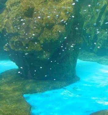 emcdross's tweet image. かなり安心だね 🌟