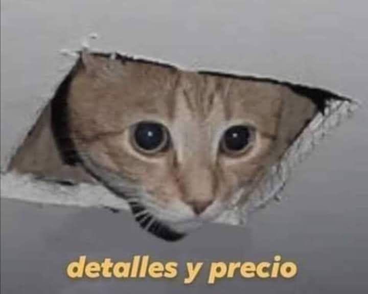 DanyDais tweet media