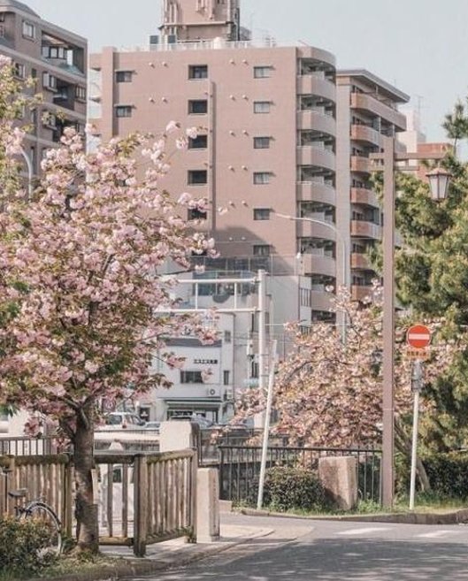 aberrom's tweet image. 午前が好き 👩