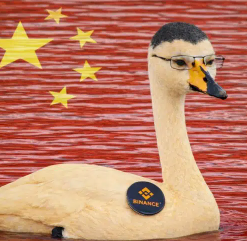 P0M_DEV's tweet image. Everyone is blaming CZ and Binance (Chinese Cabal) for Yesterday's Market Crash, where they sold billions of dollars worth of crypto...
CT is literally full of posts and memes about it!
So it's safe to say yesterday wasn't a Black Swan Event...