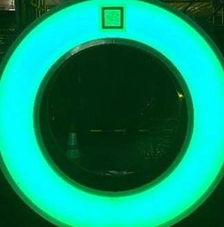 quicksebas's tweet image. 木を走る 🐢