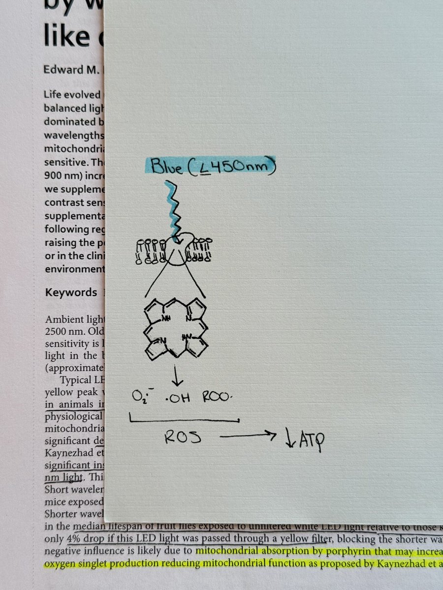 Jonathanjarecki's tweet image. Recent research published this year in Nature: Scientific Reports demonstrates the effects that light in the built environment has on human health. 

Our modern build environment is dominated by short-wavelength light from LEDs and fluorescent lighting. This can have deleterious…