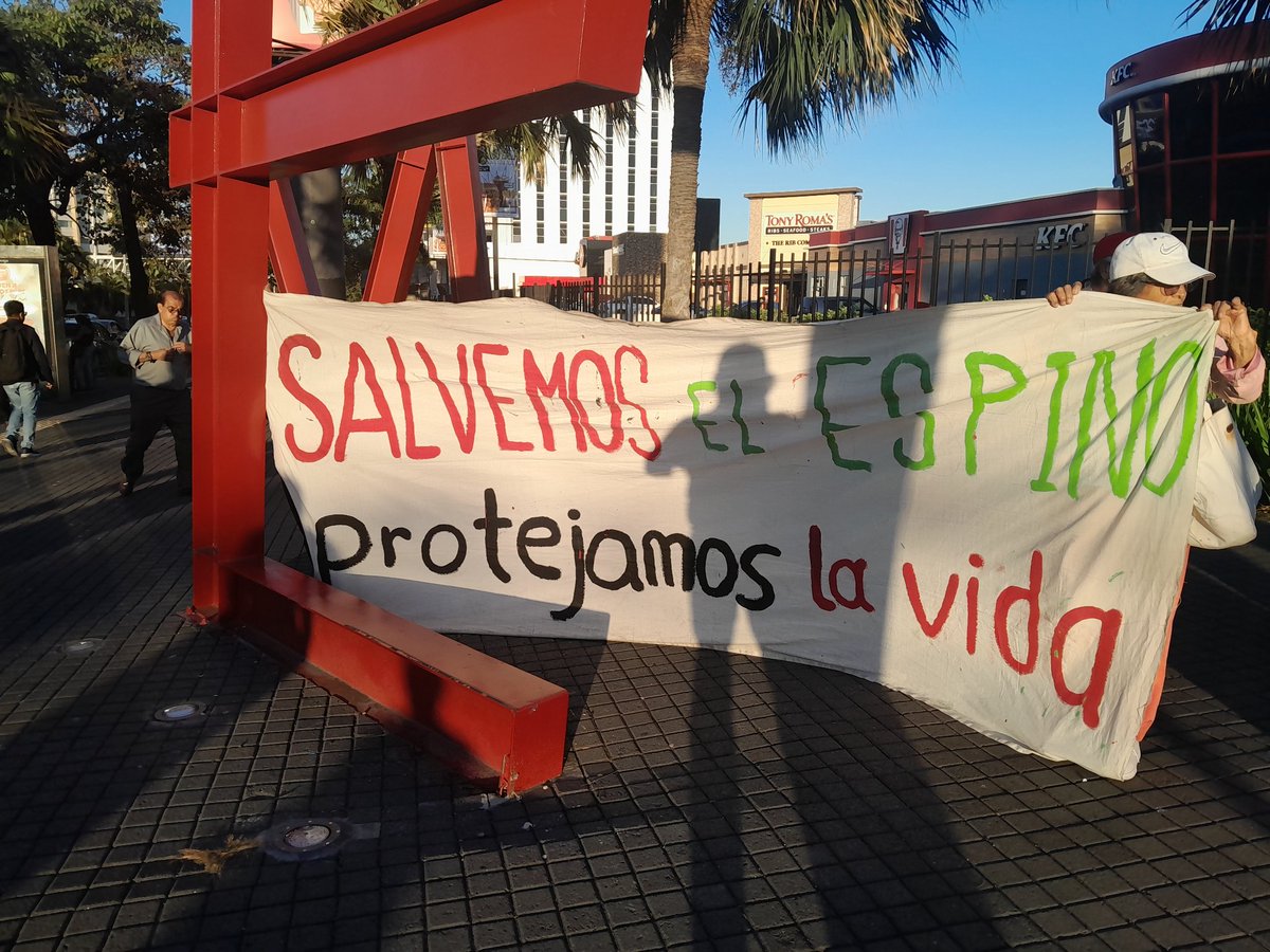 mpbc4's tweet photo. Pueblo salvadoreño Salvemos vuestro bosque EL Espino Santa Tecla, no lo cambiemos por la construcción de un CIFCO. https://t.co/vg24seo7XD