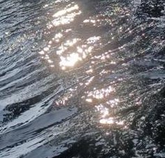 WilsonBrandon's tweet image. 恋人に行く 🥦