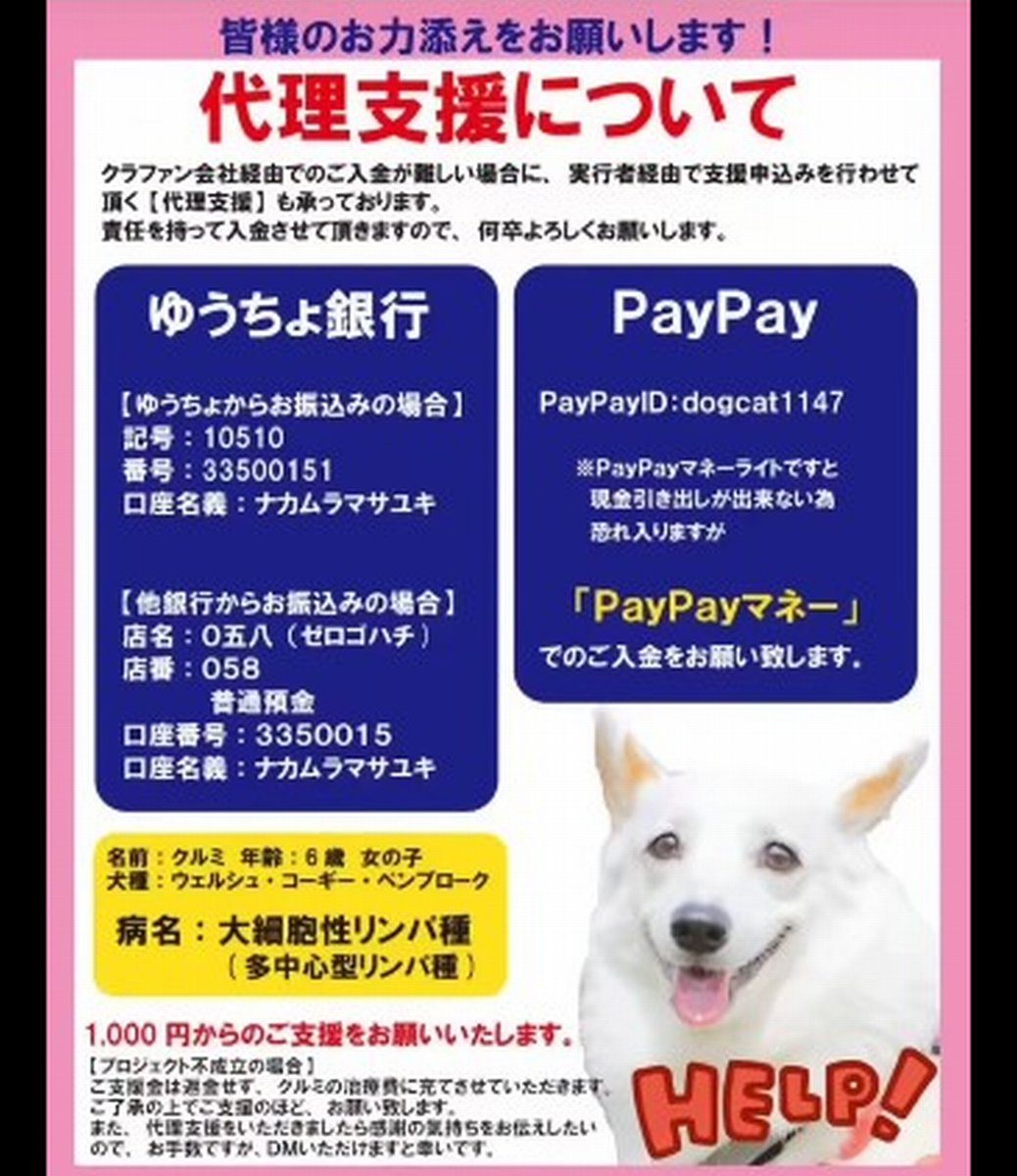 🆘#拡散希望🆘
クルミ ちゃん の再発した リンパ腫 の治療費のクラウドファンディングへの御協力お願いします🙇‍♂️
↓
readyfor.jp/projects/167325

残り6日で、達成率60%(残り22万円)です！
達成率が100%に達しないと支援金を受取る事が出来ません。

ご支援お願い致します🙇‍♂️