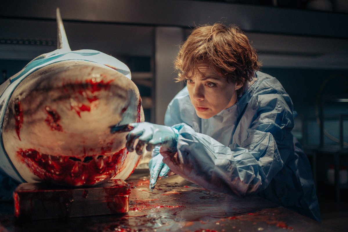 BDisgusting's tweet image. Alexandre Aja (High Tension, The Hills Have Eyes, Piranha 3D, Crawl) will return to the aquatic horror arena to direct shark attack sequel UNDER PARIS 2.

Xavier Gens directed the first Under Paris, which broke records and was a massive hit for Netflix in 2024. 

Source: @THR