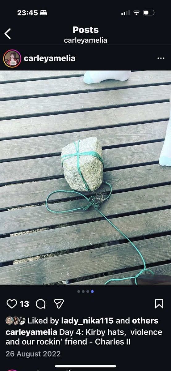 The people who don’t get the Opalite music video have clearly never befriended a rock x