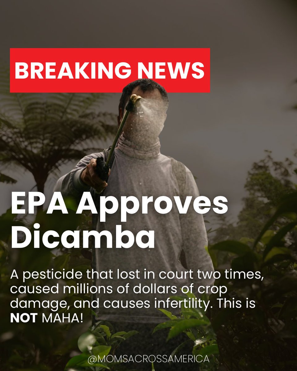 Moms Across America (@yesmaam74) on Twitter photo 