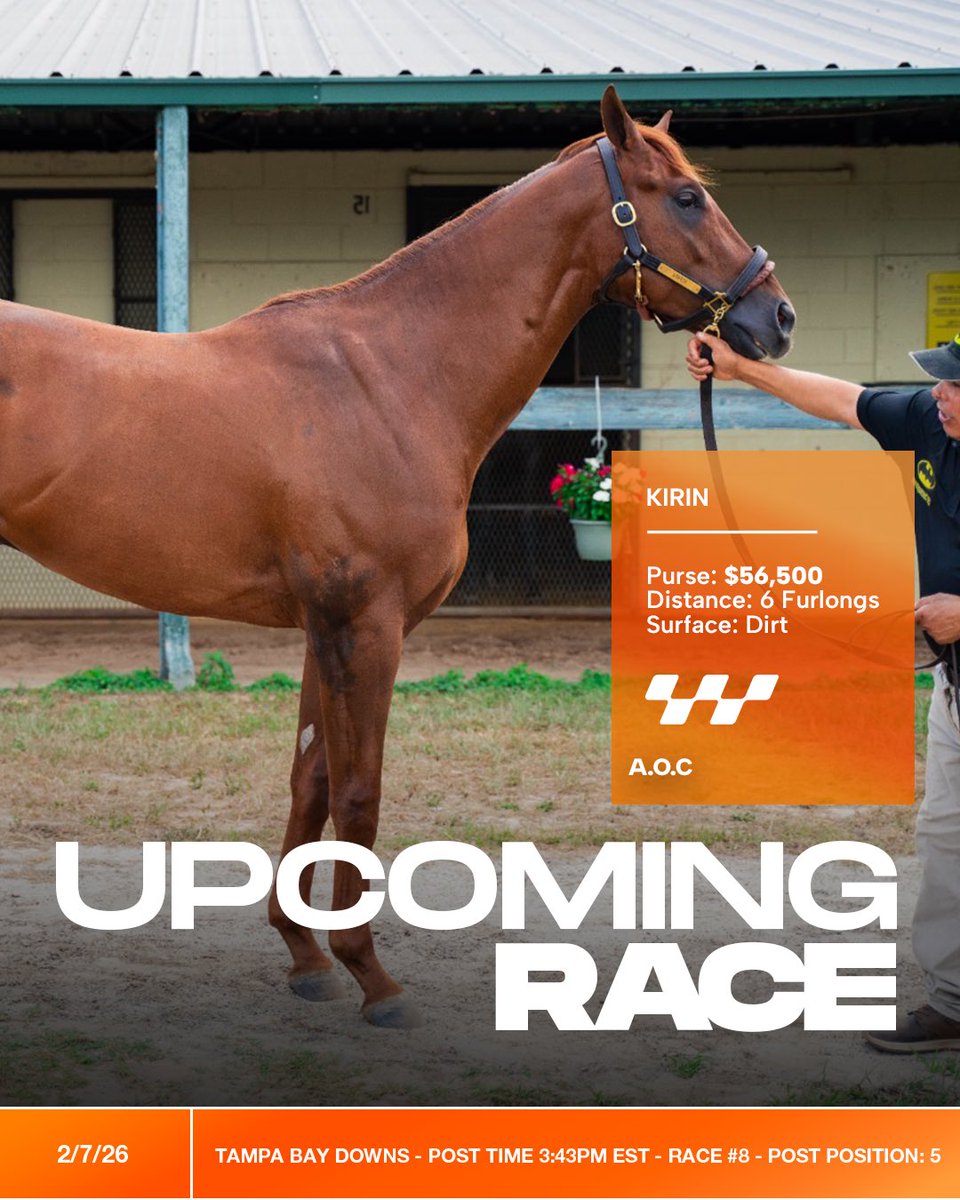 MorplayRacing's tweet image. Kirin is back in the entries.
Another step forward as we keep building and placing him where he belongs.
All focus on execution at Tampa Bay Downs this weekend. 🟧🐎🔥

Race 8 · 6F · Dirt · A.O.C
Post Time: 3:43 PM EST

#MorplayRacing
#SettingThePace
#ThoroughbredRacing