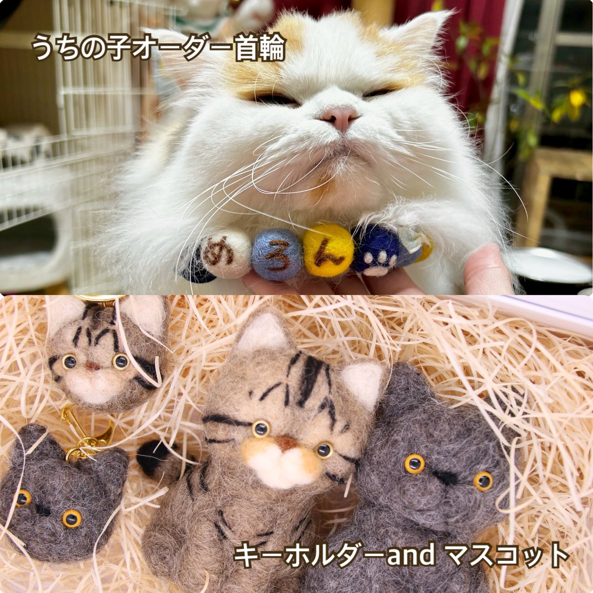 💘拡散希望💘 2月22日は、にゃんにゃんにゃんこの日🐱 おうちの子に