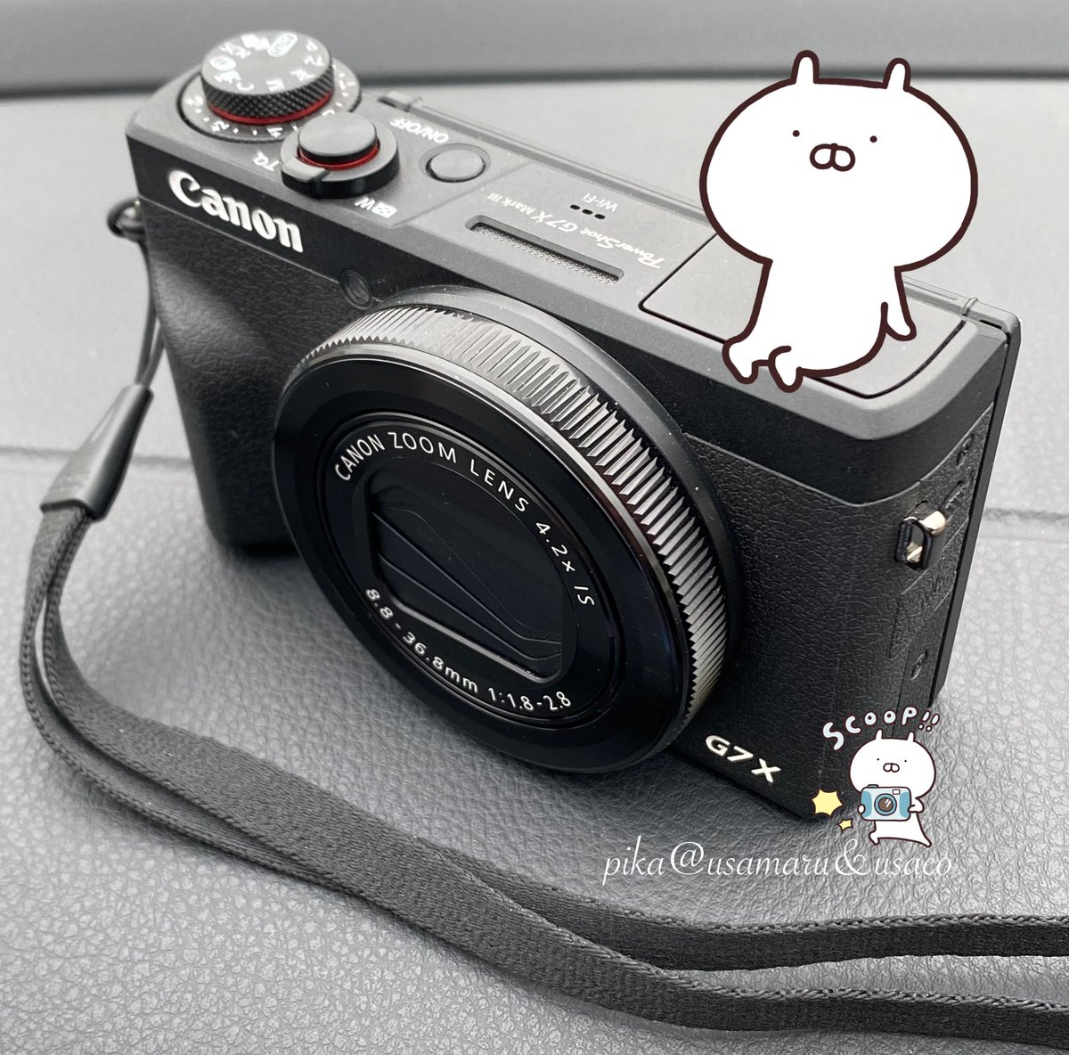 にゃんと！30周年ヾ(๑´∞`๑)ﾉ 新商品が出るかと思ったらカラバリ