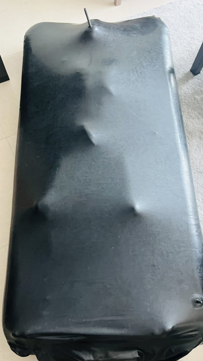 MattRubPup tweet media