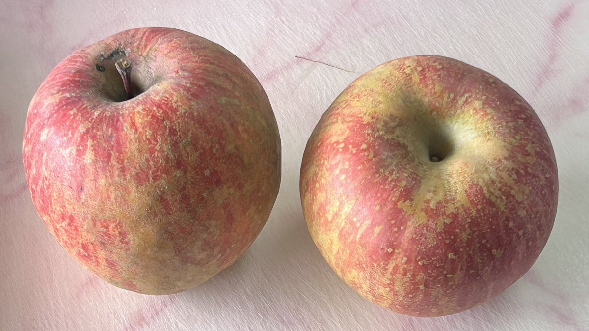 何とでもなるはずだ❣️🍎