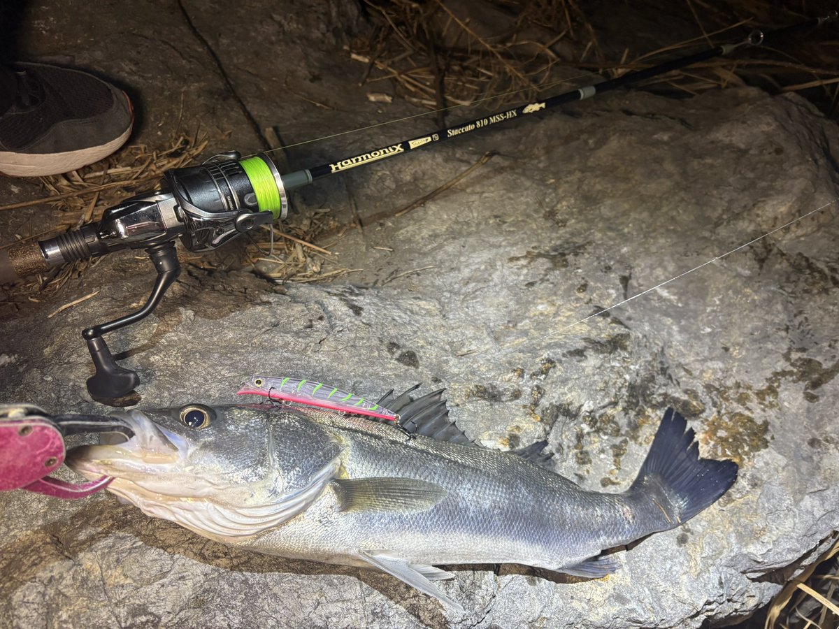 ゆーすけ (@y_s_k9218) / Posts / X