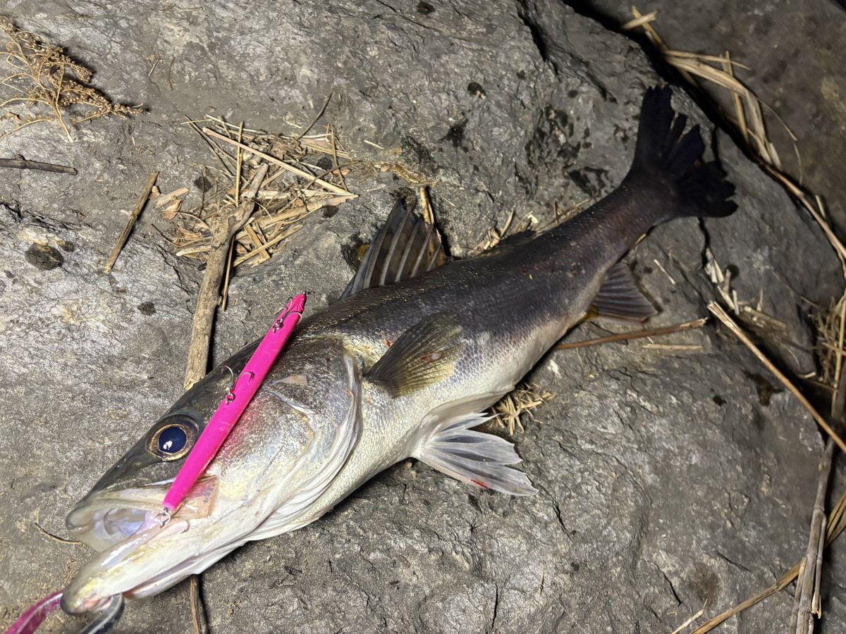 ゆーすけ (@y_s_k9218) / Posts / X