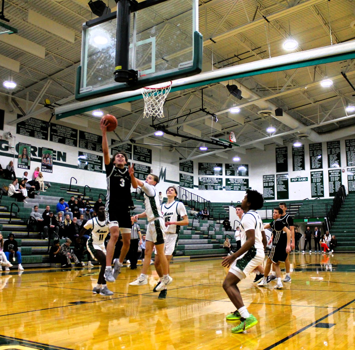 Wendy Allen tweet media