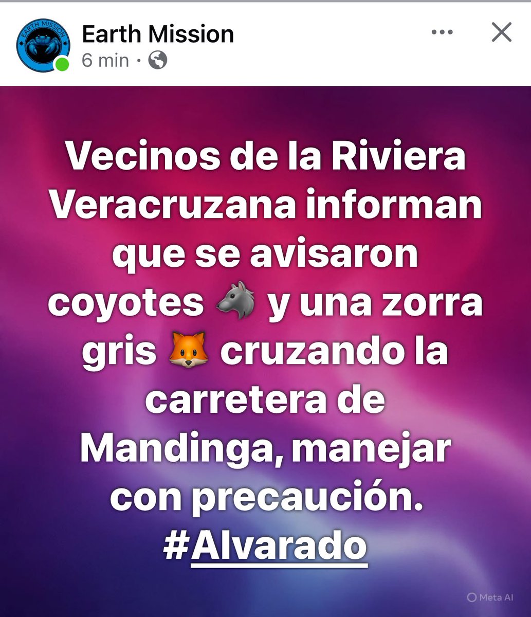 MaTere_Mendoza's tweet photo. Los coyotes han de ser los que andan cobrando si por los trámites de las placas y la zorra pues… mejor no digo nada 🤐🤭
Ya fuera de broma, jarochos, por fa tengan precaución al circular por la zona.
#AntonLizardo #Alvarado #BocaDelRio #Veracruz https://t.co/1uEVveSCSH
