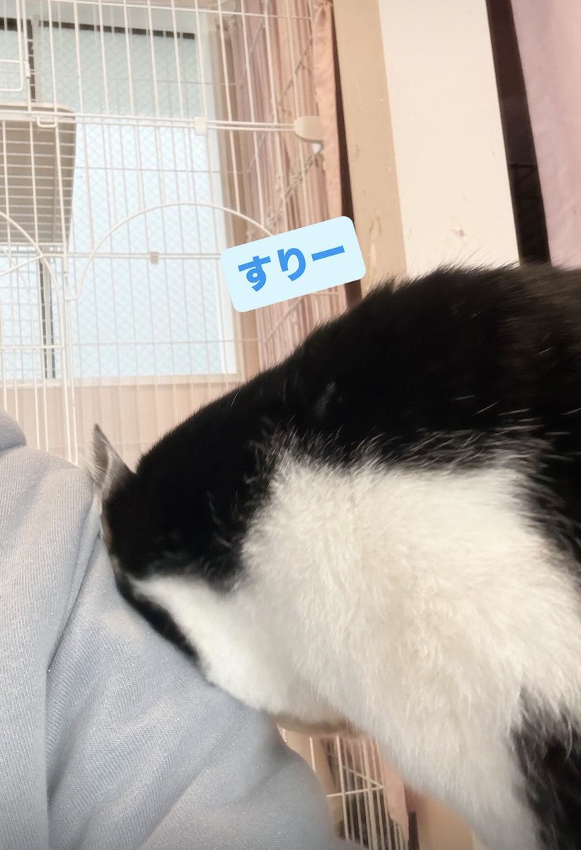 すりーがつよつよのとぽち