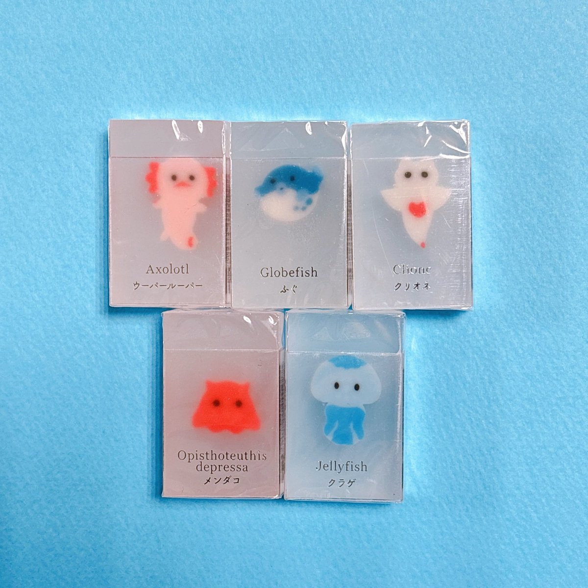 本日はサンスター文具の『氷漬けになったいきもの消しゴム』のご紹介🧊

おおきないきもの
🧊ペンギン
❄️サメ
🧊あざらし
❄️ラッコ
🧊しろくま
⁡税込385円
⁡
ちいさないきもの
❄️ウーパールーパー
🧊ふぐ
❄️クリオネ
🧊メンダコ
❄️クラゲ
⁡税込385円