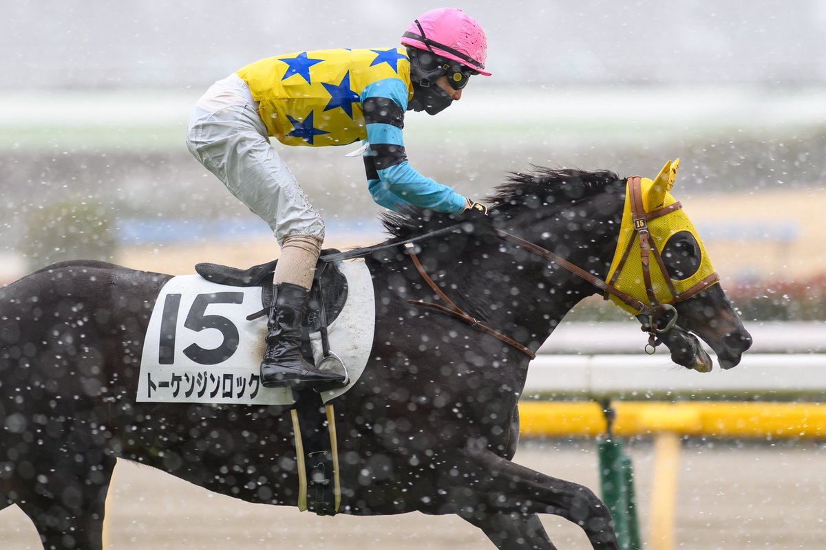 eclipse__first's tweet image. 雪すぎて滅❄️