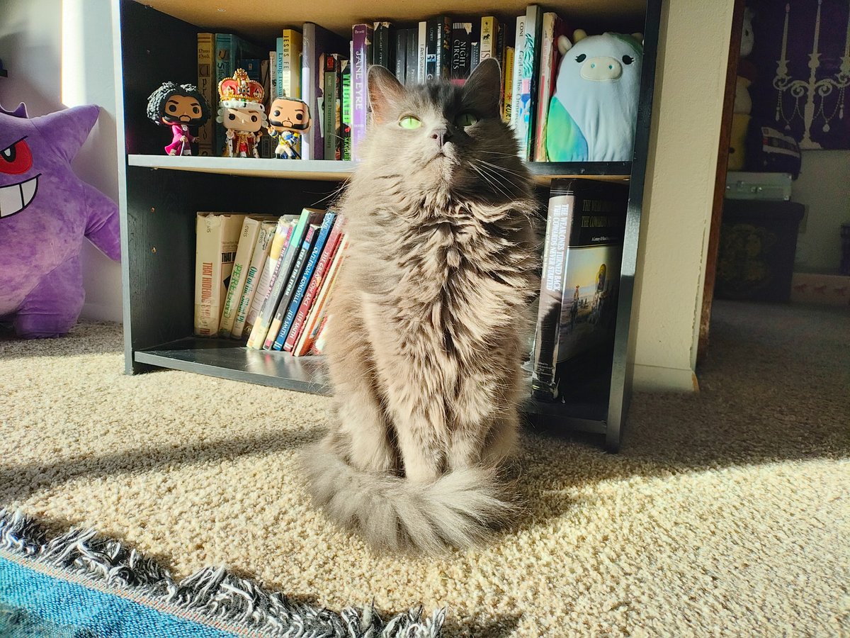 Princess Sephiroth 🍉 tweet media