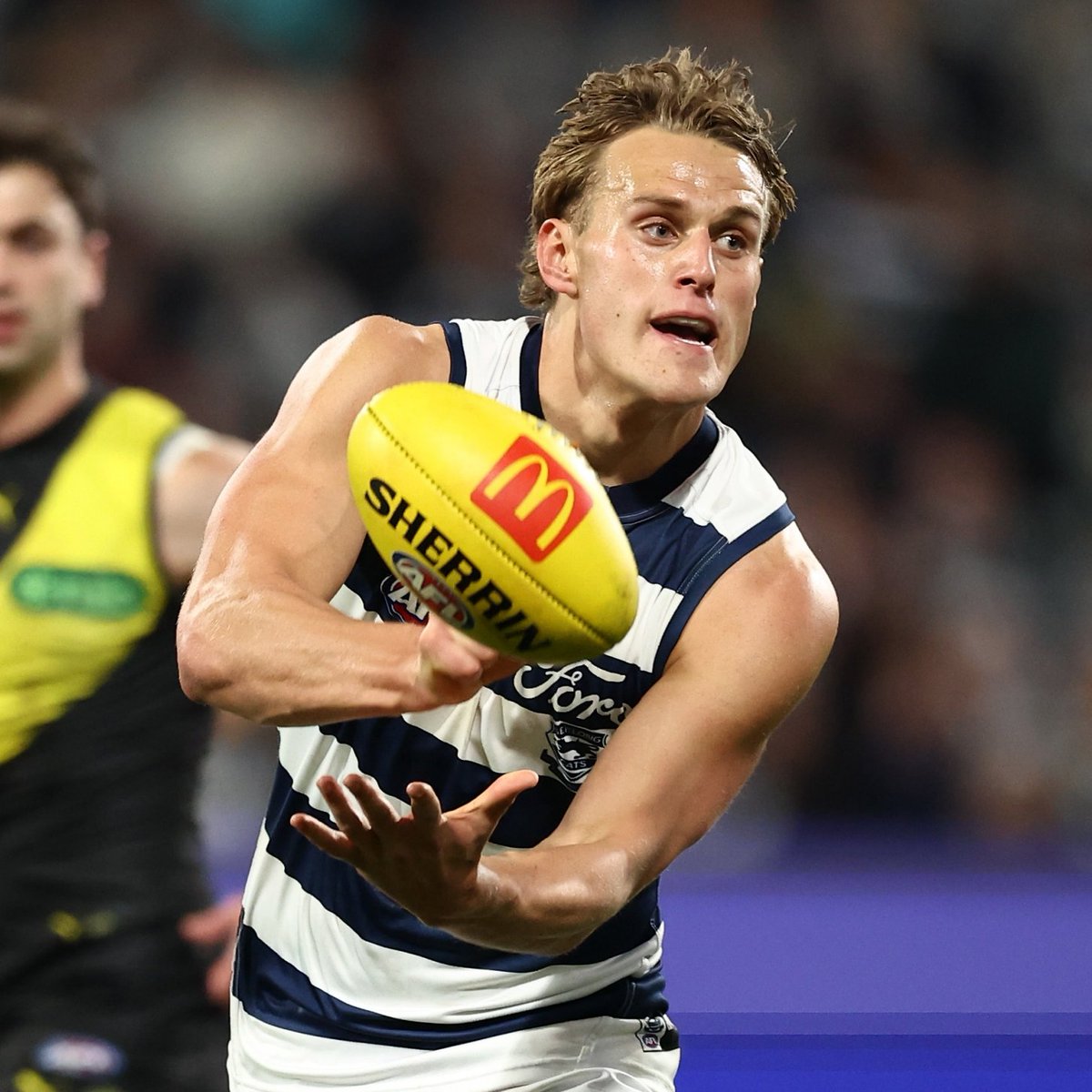 Dan Batten tweet media