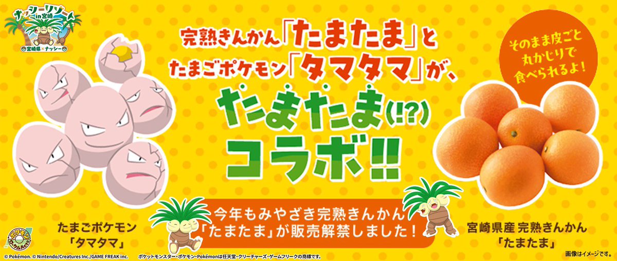 ナッシーリゾートin宮崎【公式】 on X: 