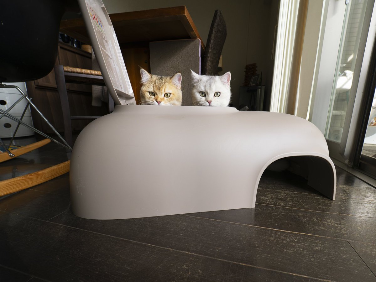 MARCO 🟡写真集「メイ先輩」🟡 (@marco74444) / Posts / X