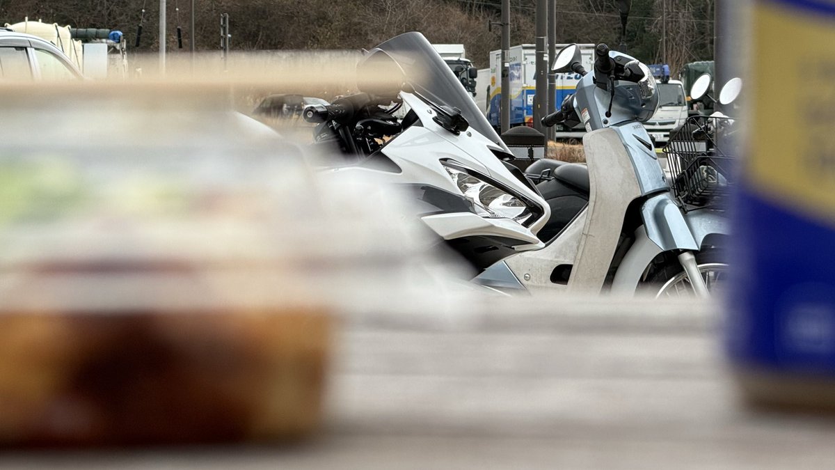 とらら tweet media