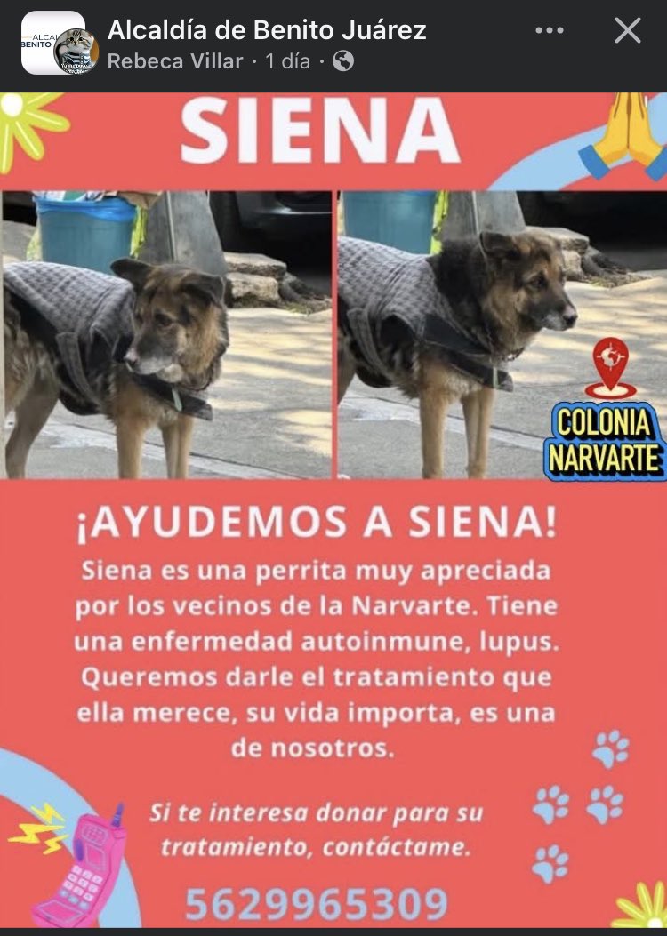 Col. Independencia ABJ (@colindependenc1) on Twitter photo 