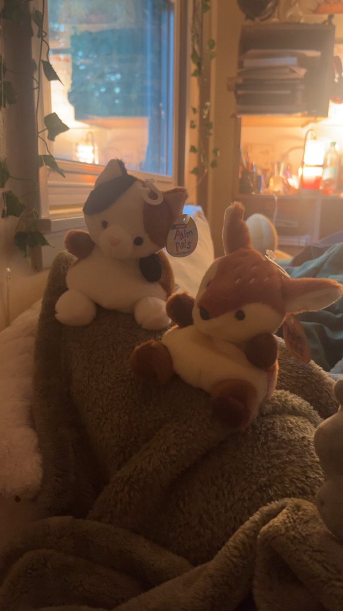 lilladydotcom's tweet image. ☀️ user lilladydotcom off twt !!