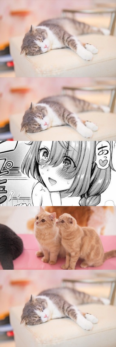 はぐれモン tweet media