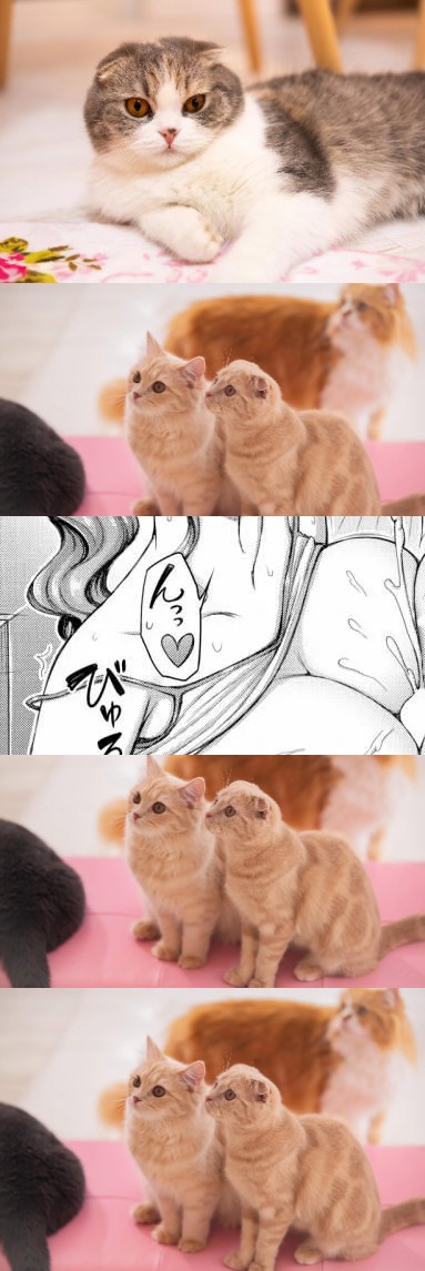 はぐれモン tweet media